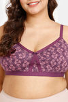 Rosaline Everyday Double Layered Non Wired Full Coverage Super Support Bra - Winter Bloom — thumbnail 4